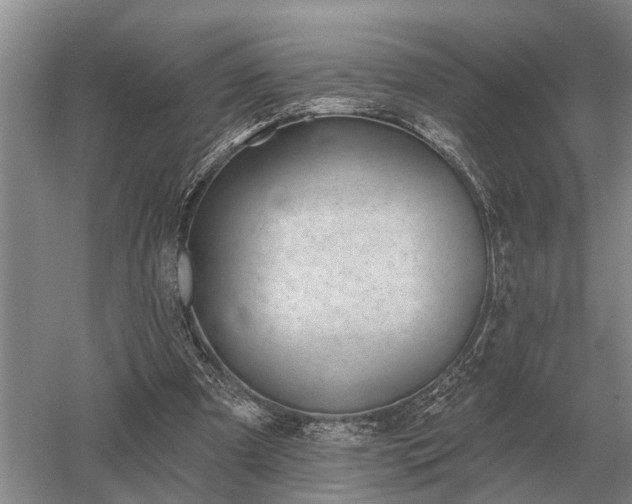 X0000052980297200507151835