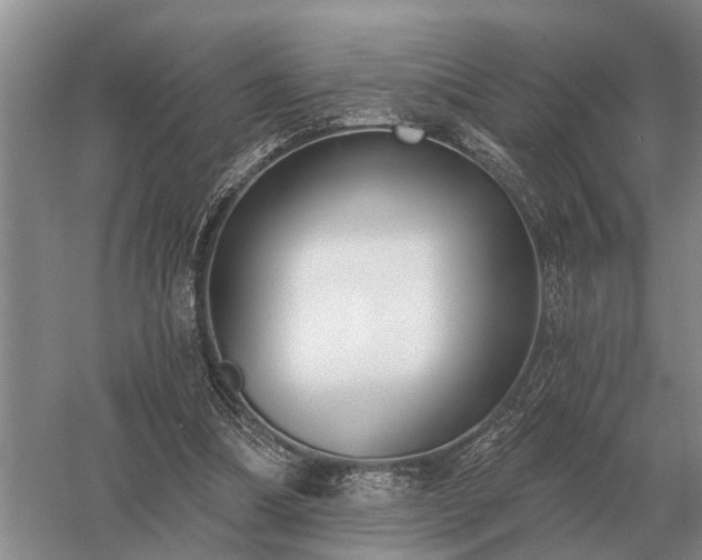 X0000052980298200507151835