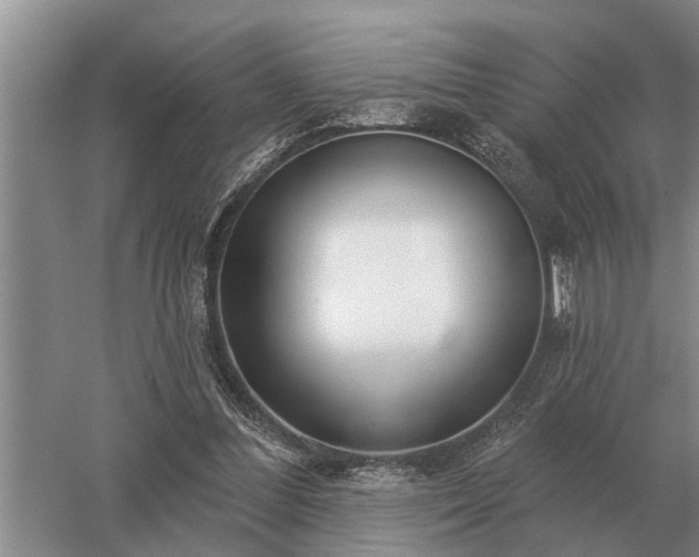 X0000052980300200507151835