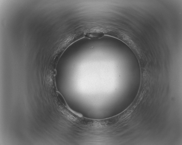 X0000052980305200507151835