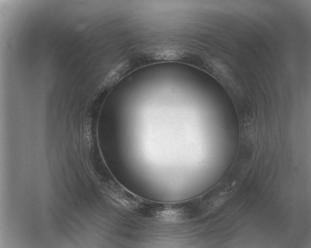 X0000052980312200507151835