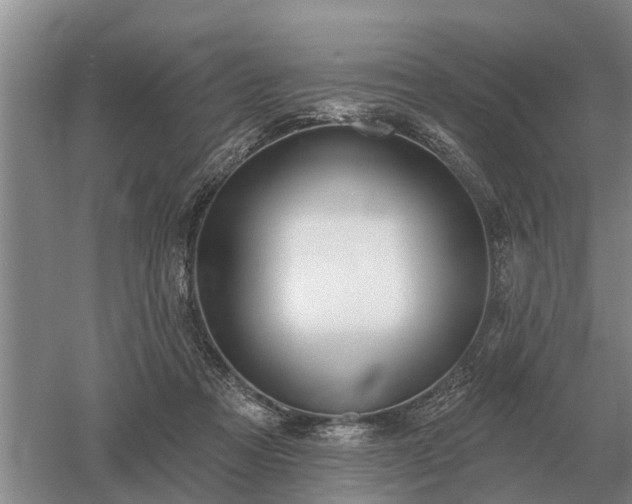 X0000052980313200507151835