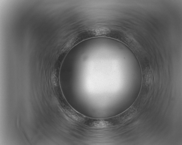 X0000052980316200507151835