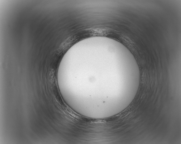 X0000052980318200507151835