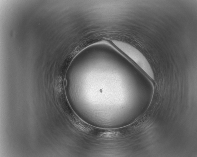 X0000052980323200507151835