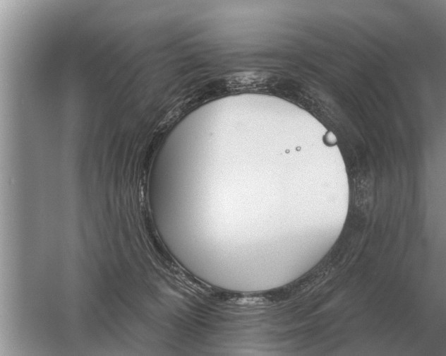 X0000052980324200507151835