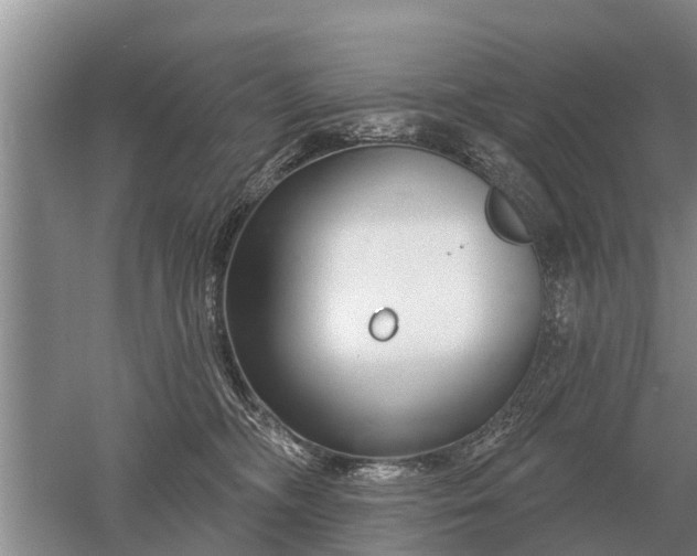 X0000052980326200507151835