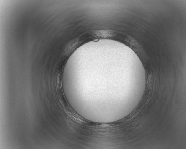 X0000052980330200507151835