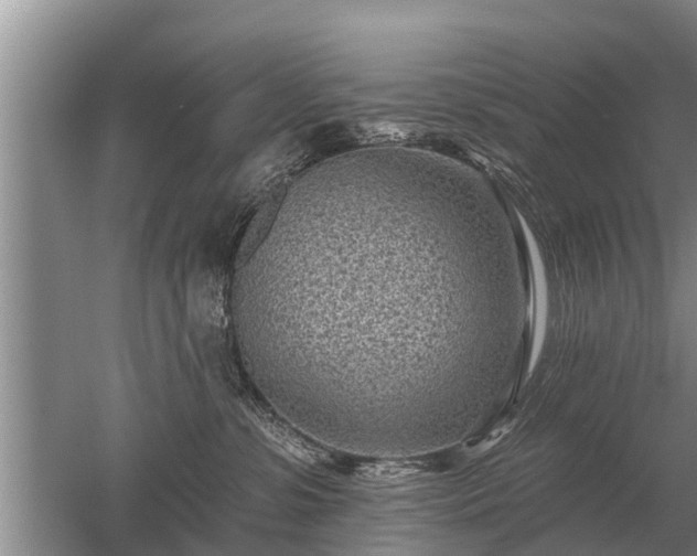 X0000052980331200507151835