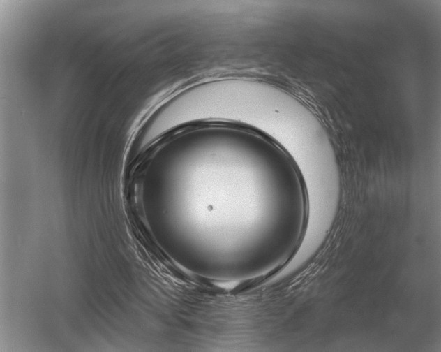 X0000052980340200507151834