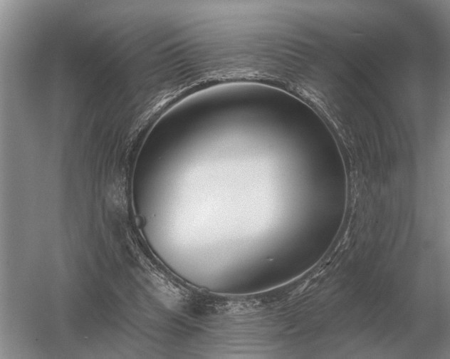 X0000052980345200507151834