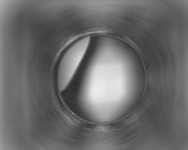 X0000052980350200507151834