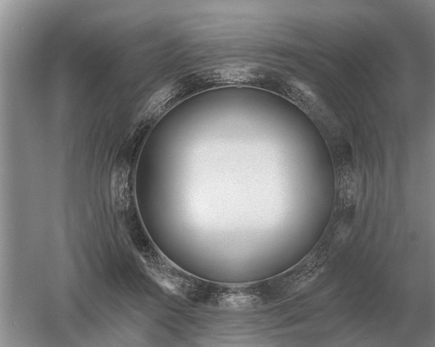 X0000052980360200507151834