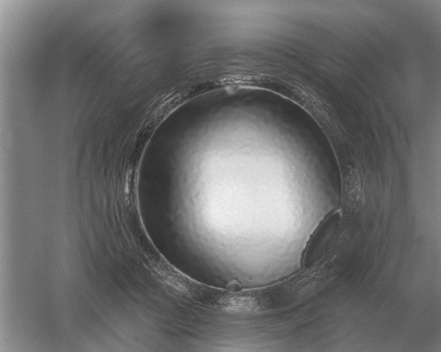 X0000052980361200507151834