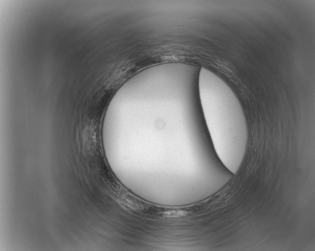 X0000052980363200507151834