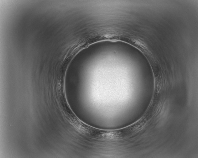 X0000052980365200507151834