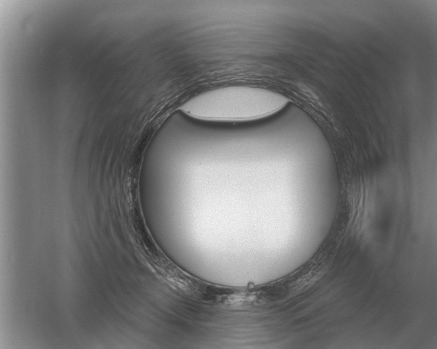 X0000052980366200507151834