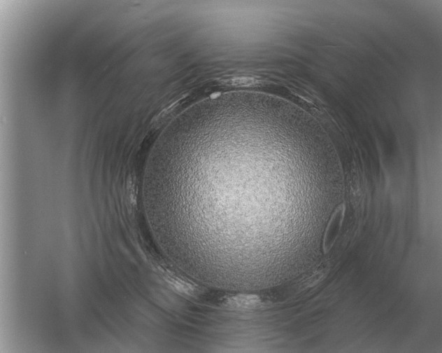 X0000052980374200507151834