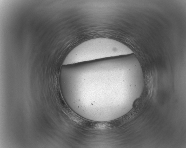 X0000052980375200507151834