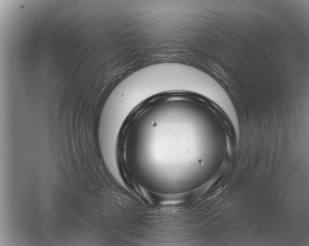 X0000052980377200507151834