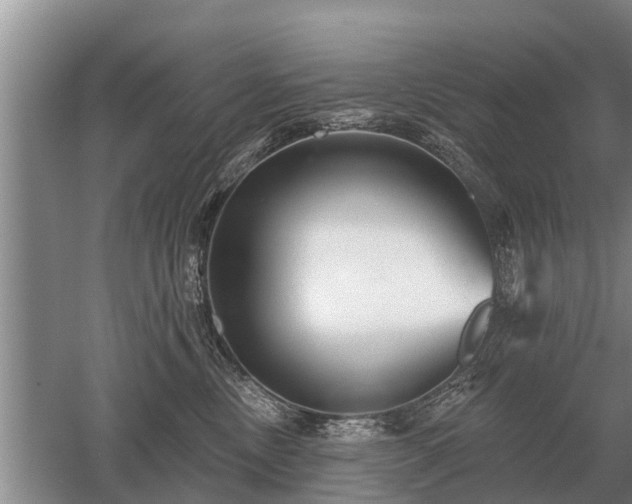 X0000052980378200507151834