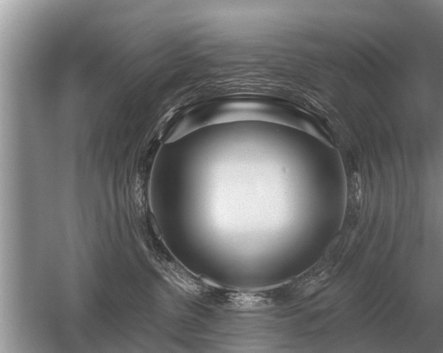 X0000052980380200507151834