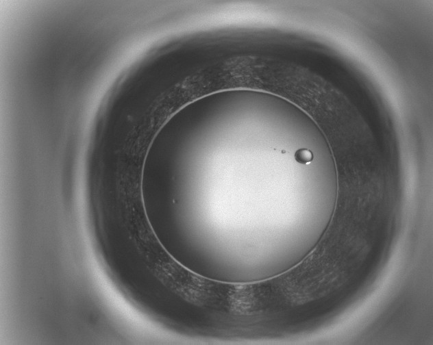 X0000052980382200507151834