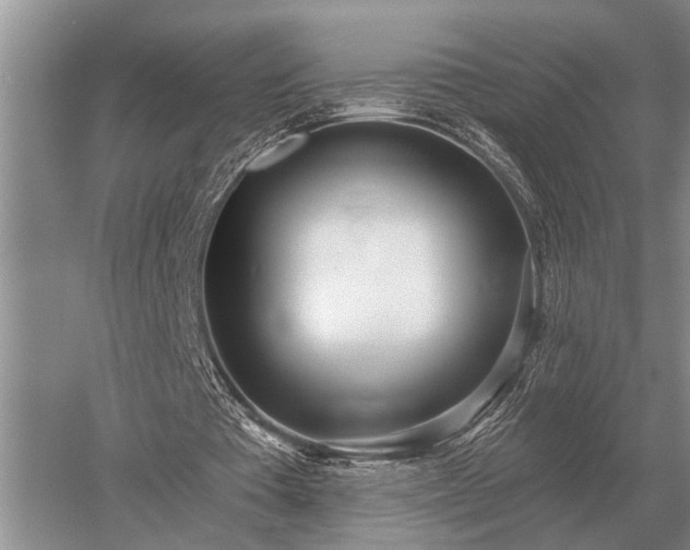 X0000052980385200507151834