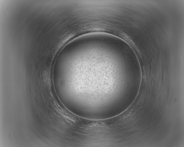 X0000052980386200507151834