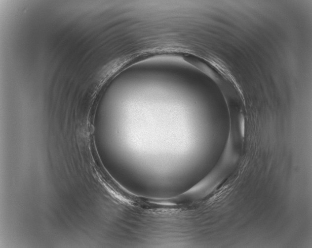 X0000052980389200507151834