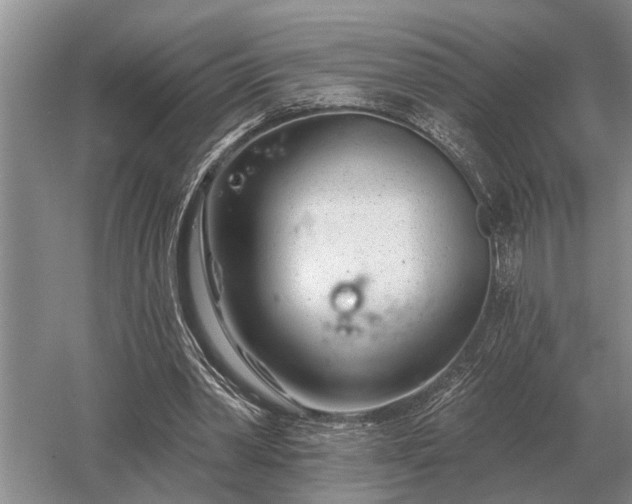 X0000052980390200507151834