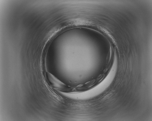 X0000052980391200507151834