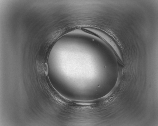 X0000052980393200507151834