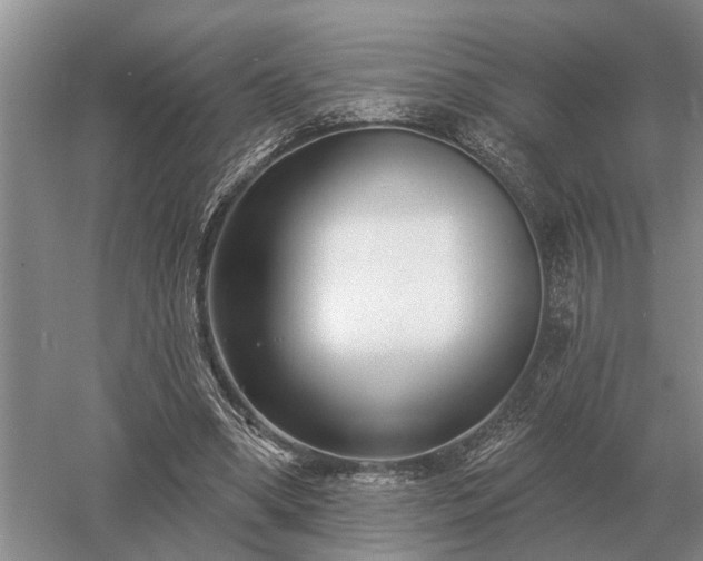 X0000052980394200507151834