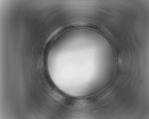 X0000052980396200507151833