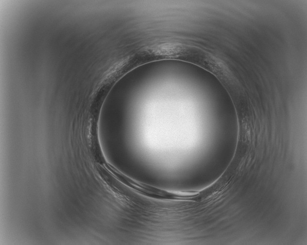 X0000052980404200507151833