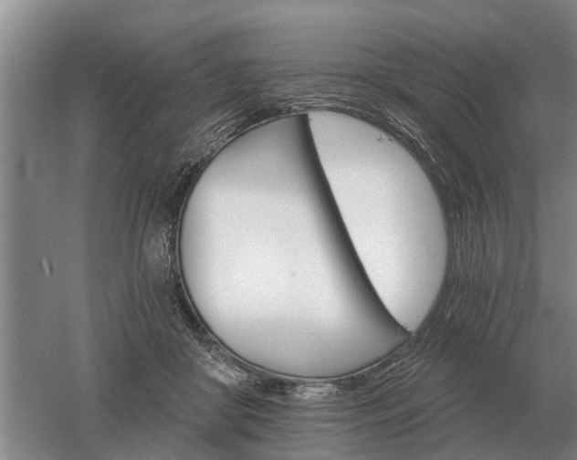 X0000052980410200507151833