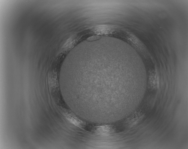 X0000052980411200507151833