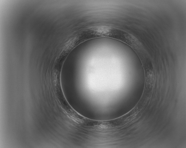 X0000052980412200507151833