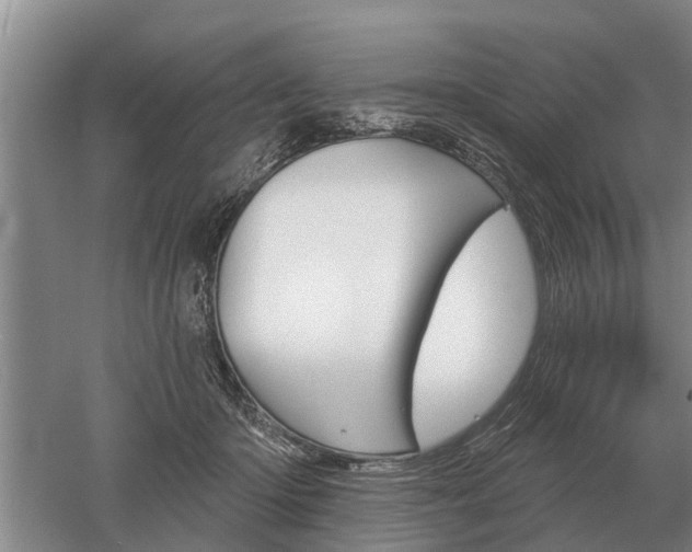 X0000052980414200507151833