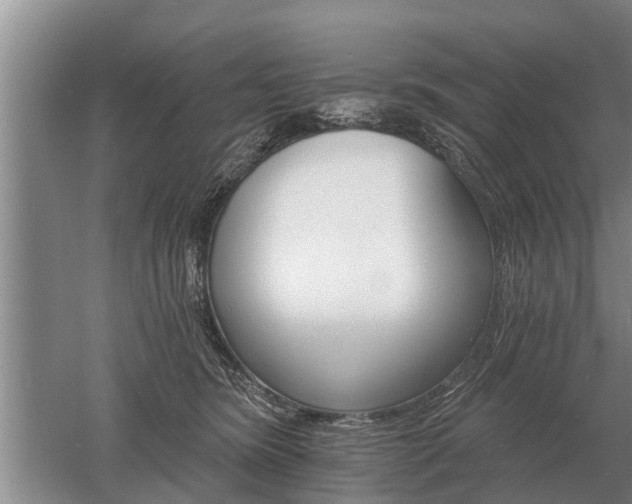 X0000052980420200507151833