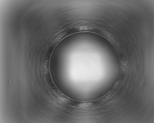 X0000052980422200507151833