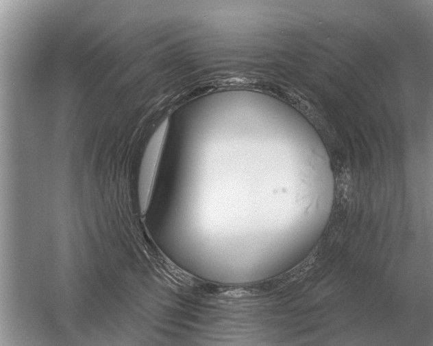 X0000052980423200507151833