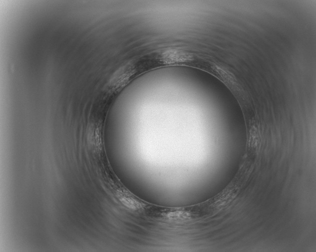 X0000052980426200507151833