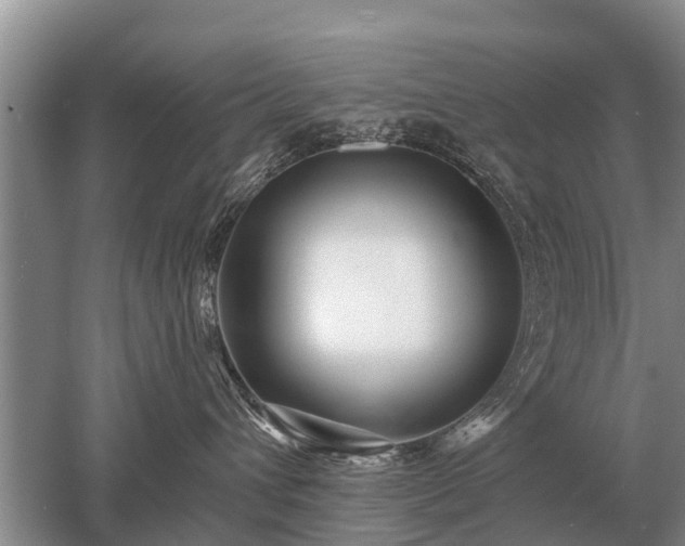 X0000052980432200507151833