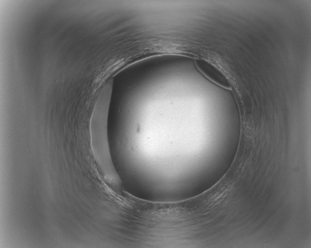 X0000052980433200507151832