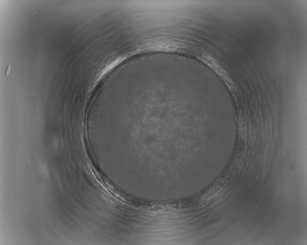 X0000052980434200507151832