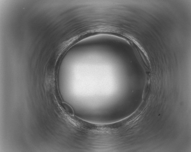 X0000052980437200507151832