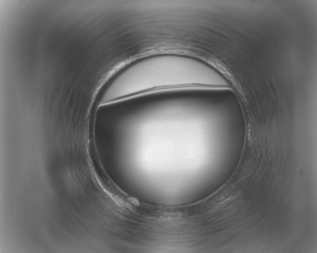 X0000052980438200507151832