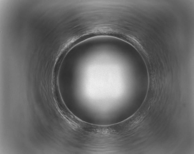 X0000052980439200507151832